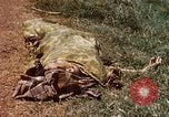 Immagine di Booby intrappolato Viet Cong rimane Il Vietnam, 1967, secondo 14 filmato di repertorio 65675025979