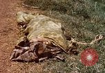 Immagine di Booby intrappolato Viet Cong rimane Il Vietnam, 1967, secondo 15 filmato di repertorio 65675025979
