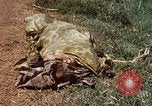 Immagine di Booby intrappolato Viet Cong rimane Il Vietnam, 1967, secondo 17 filmato di repertorio 65675025979