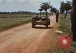 Immagine di Booby intrappolato Viet Cong rimane Il Vietnam, 1967, secondo 28 filmato di repertorio 65675025979