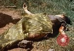 Immagine di Booby intrappolato Viet Cong rimane Il Vietnam, 1967, secondo 55 filmato di repertorio 65675025979
