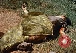 Immagine di Booby intrappolato Viet Cong rimane Il Vietnam, 1967, secondo 57 filmato di repertorio 65675025979