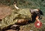 Immagine di Booby intrappolato Viet Cong rimane Il Vietnam, 1967, secondo 58 filmato di repertorio 65675025979