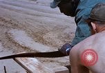 Image of 9th Signal Battalion Dong Tam Vietnam, 1967, second 51 stock footage video 65675025983