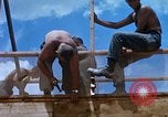 Image of 9th Signal Battalion Dong Tam Vietnam, 1967, second 44 stock footage video 65675025984
