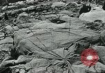 Image Les troupes italiennes positions défensives Première Guerre Mondiale Italie, 1918, de la seconde 50 séquences d'archives historiques vidéo 65675026011