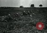 Standbild verwurzelte französische Soldaten an der Marne line Frankreich, 1918, aus Sekunde 62 historischem Filmmaterial Videoclip 65675026012