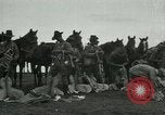 Image of cavalry South Africa, 1918, second 12 stock footage video 65675026029
