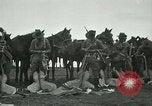Image of cavalry South Africa, 1918, second 15 stock footage video 65675026029