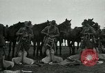 Image of cavalry South Africa, 1918, second 18 stock footage video 65675026029
