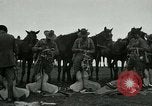 Image of cavalry South Africa, 1918, second 19 stock footage video 65675026029