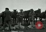 Image of cavalry South Africa, 1918, second 21 stock footage video 65675026029
