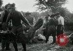 Image of cavalry South Africa, 1918, second 36 stock footage video 65675026029