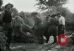 Image of cavalry South Africa, 1918, second 37 stock footage video 65675026029