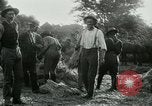 Image of cavalry South Africa, 1918, second 43 stock footage video 65675026029