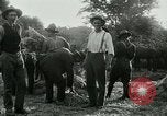 Image of cavalry South Africa, 1918, second 44 stock footage video 65675026029