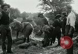Image of cavalry South Africa, 1918, second 48 stock footage video 65675026029