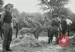 Image of cavalry South Africa, 1918, second 49 stock footage video 65675026029