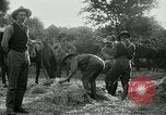 Image of cavalry South Africa, 1918, second 52 stock footage video 65675026029