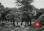 Image of cavalry South Africa, 1918, second 56 stock footage video 65675026029