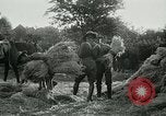 Image of cavalry South Africa, 1918, second 57 stock footage video 65675026029