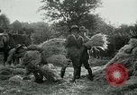 Image of cavalry South Africa, 1918, second 58 stock footage video 65675026029