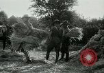 Image of cavalry South Africa, 1918, second 59 stock footage video 65675026029