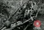 Immagine di Le forze britanniche costruire un ponte attraverso il Fiume Wami Tanzania Africa orientale, 1918, secondo 5 filmato di repertorio 65675026031