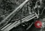 Immagine di Le forze britanniche costruire un ponte attraverso il Fiume Wami Tanzania Africa orientale, 1918, secondo 17 filmato di repertorio 65675026031