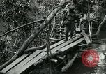 Immagine di Le forze britanniche costruire un ponte attraverso il Fiume Wami Tanzania Africa orientale, 1918, secondo 24 filmato di repertorio 65675026031