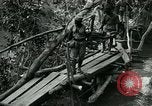 Immagine di Le forze britanniche costruire un ponte attraverso il Fiume Wami Tanzania Africa orientale, 1918, secondo 29 filmato di repertorio 65675026031
