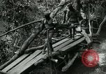 Immagine di Le forze britanniche costruire un ponte attraverso il Fiume Wami Tanzania Africa orientale, 1918, secondo 30 filmato di repertorio 65675026031
