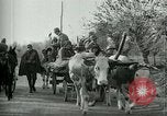 Image remise troupes italiennes après la bataille de Caporetto Italie, 1917, de la seconde 41 séquences d'archives historiques vidéo 65675026033