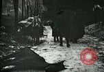 Standbild Nachwirkungen der Schlacht von Caporetto in Ersten Weltkrieg Italien, 1917, aus Sekunde 3 historischem Filmmaterial Videoclip 65675026036