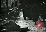 Standbild Nachwirkungen der Schlacht von Caporetto in Ersten Weltkrieg Italien, 1917, aus Sekunde 5 historischem Filmmaterial Videoclip 65675026036