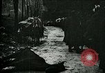 Standbild Nachwirkungen der Schlacht von Caporetto in Ersten Weltkrieg Italien, 1917, aus Sekunde 7 historischem Filmmaterial Videoclip 65675026036
