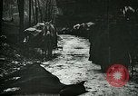 Standbild Nachwirkungen der Schlacht von Caporetto in Ersten Weltkrieg Italien, 1917, aus Sekunde 8 historischem Filmmaterial Videoclip 65675026036