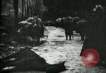 Standbild Nachwirkungen der Schlacht von Caporetto in Ersten Weltkrieg Italien, 1917, aus Sekunde 10 historischem Filmmaterial Videoclip 65675026036