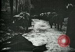 Standbild Nachwirkungen der Schlacht von Caporetto in Ersten Weltkrieg Italien, 1917, aus Sekunde 11 historischem Filmmaterial Videoclip 65675026036