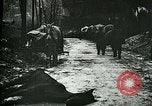 Standbild Nachwirkungen der Schlacht von Caporetto in Ersten Weltkrieg Italien, 1917, aus Sekunde 12 historischem Filmmaterial Videoclip 65675026036