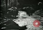 Standbild Nachwirkungen der Schlacht von Caporetto in Ersten Weltkrieg Italien, 1917, aus Sekunde 13 historischem Filmmaterial Videoclip 65675026036
