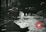 Standbild Nachwirkungen der Schlacht von Caporetto in Ersten Weltkrieg Italien, 1917, aus Sekunde 16 historischem Filmmaterial Videoclip 65675026036