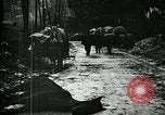 Standbild Nachwirkungen der Schlacht von Caporetto in Ersten Weltkrieg Italien, 1917, aus Sekunde 17 historischem Filmmaterial Videoclip 65675026036