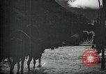 Standbild Nachwirkungen der Schlacht von Caporetto in Ersten Weltkrieg Italien, 1917, aus Sekunde 34 historischem Filmmaterial Videoclip 65675026036