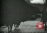 Standbild Nachwirkungen der Schlacht von Caporetto in Ersten Weltkrieg Italien, 1917, aus Sekunde 36 historischem Filmmaterial Videoclip 65675026036
