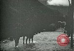 Standbild Nachwirkungen der Schlacht von Caporetto in Ersten Weltkrieg Italien, 1917, aus Sekunde 37 historischem Filmmaterial Videoclip 65675026036