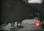 Standbild Nachwirkungen der Schlacht von Caporetto in Ersten Weltkrieg Italien, 1917, aus Sekunde 39 historischem Filmmaterial Videoclip 65675026036