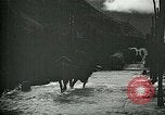 Standbild Nachwirkungen der Schlacht von Caporetto in Ersten Weltkrieg Italien, 1917, aus Sekunde 42 historischem Filmmaterial Videoclip 65675026036