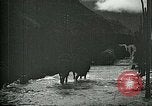 Standbild Nachwirkungen der Schlacht von Caporetto in Ersten Weltkrieg Italien, 1917, aus Sekunde 43 historischem Filmmaterial Videoclip 65675026036