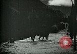Standbild Nachwirkungen der Schlacht von Caporetto in Ersten Weltkrieg Italien, 1917, aus Sekunde 46 historischem Filmmaterial Videoclip 65675026036